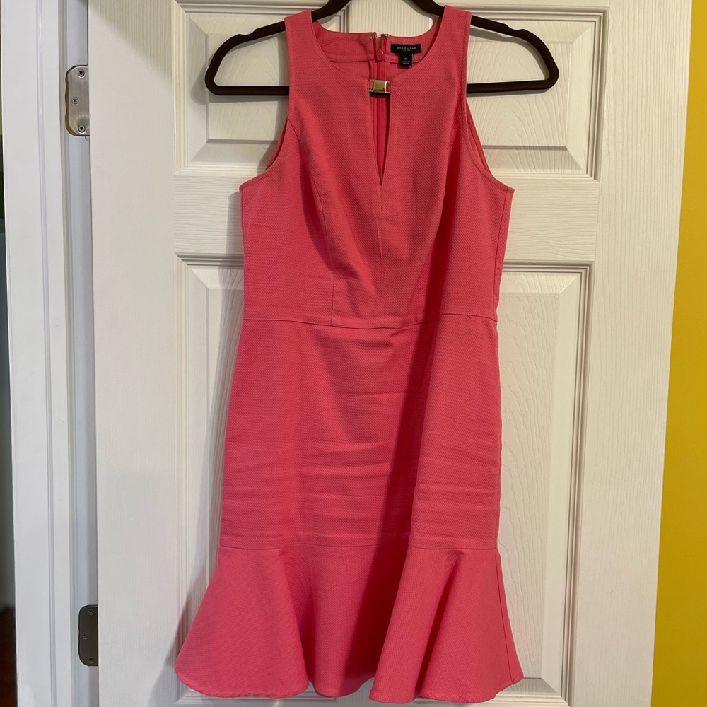 Ann Taylor Pink Ruffle Dress, Size 0